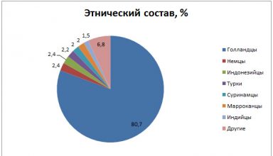 этнический состав в Нидерландах