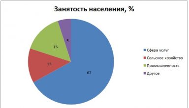 занятость населения в Нидерландах